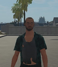 File:Combo Shirt.png
