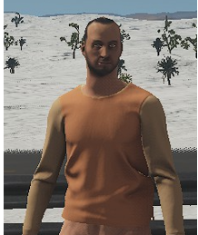 File:Normal Shirt.png