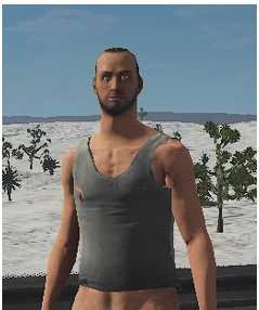 File:undershirt.png