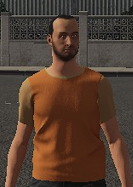 File:Shirt Orange Short.png