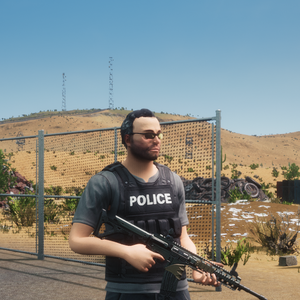 File:copface V2.png