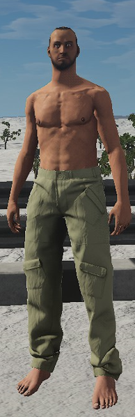 File:Pants Cargo.png